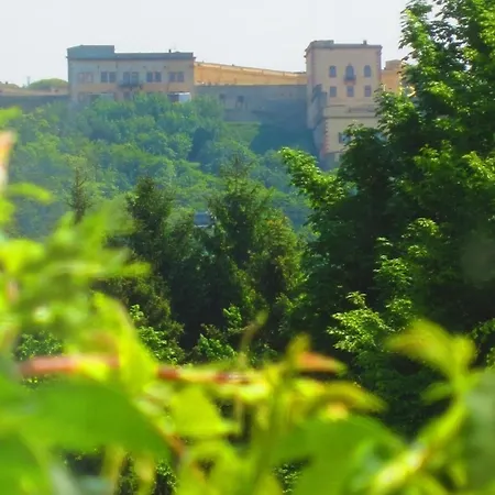 Apartment Direkt An Rhein Und Mosel Koblenz (Rhineland-Palatinate)